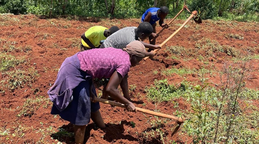 Fighting for climate justice and resilience